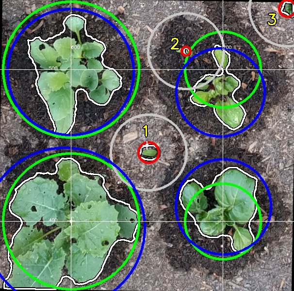 detected plants and weeder disruption circle